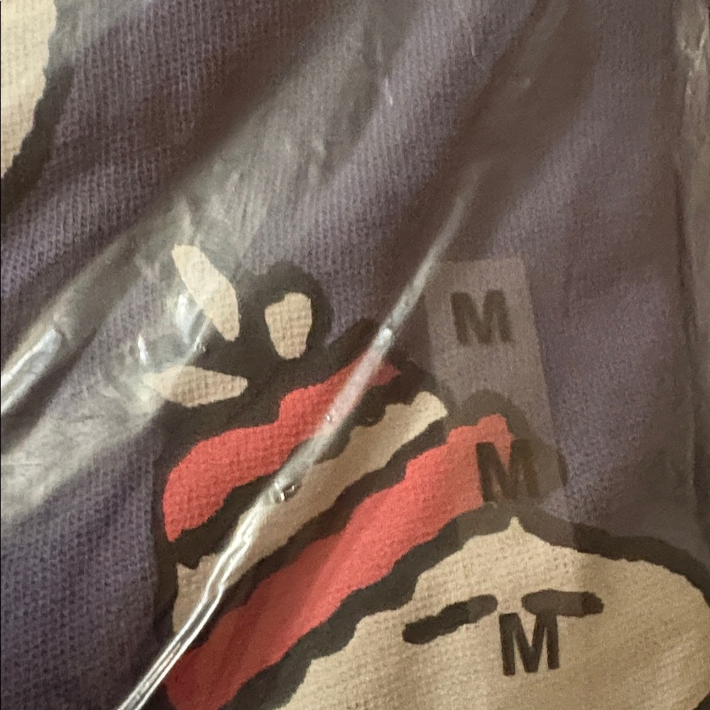 NWT Peanuts Navy Sweatshirt with Snoopy and Woodstock - Picture 11 of 11